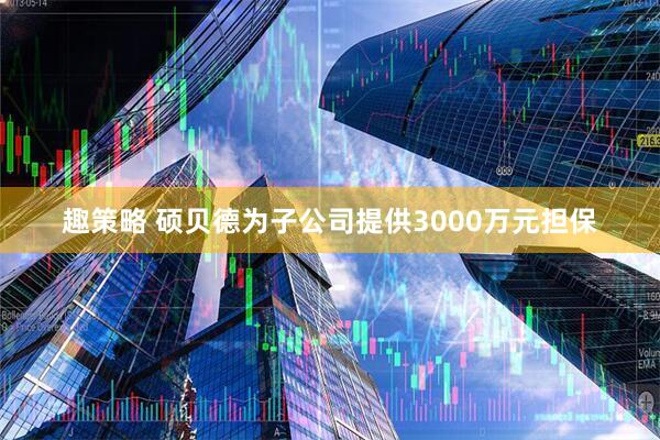 趣策略 硕贝德为子公司提供3000万元担保