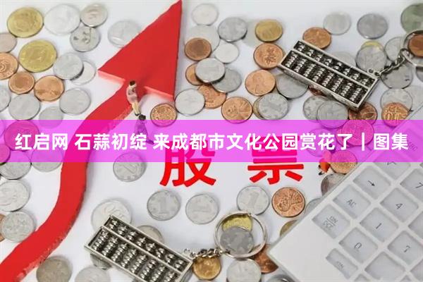 红启网 石蒜初绽 来成都市文化公园赏花了｜图集