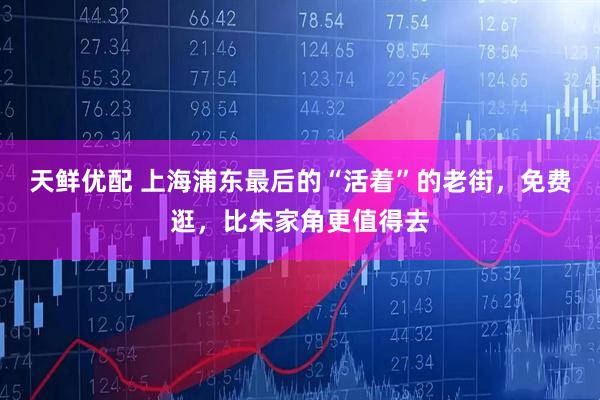 天鲜优配 上海浦东最后的“活着”的老街，免费逛，比朱家角更值得去